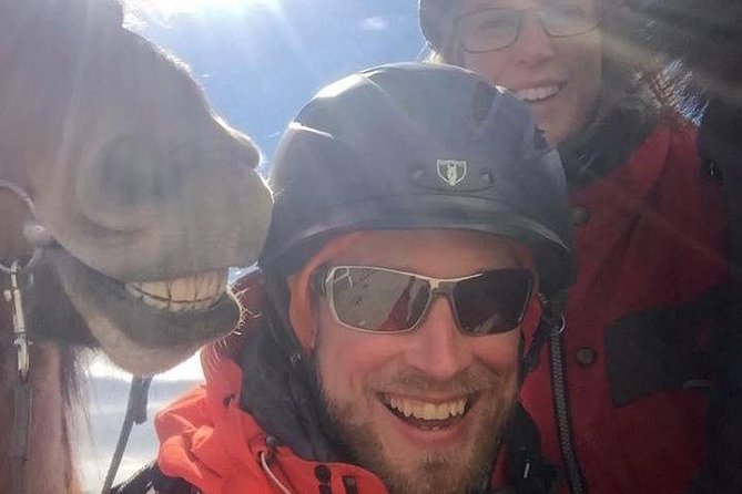 Icelandic Horseback Riding Tour Including Pick Up from Reykjavik - The horses and the people behind the farm