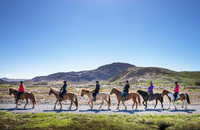 Icelandic Horseback Riding Tour with Pickup Option from Reykjavik - Arriving at Ishestar in Hafnarfjörður