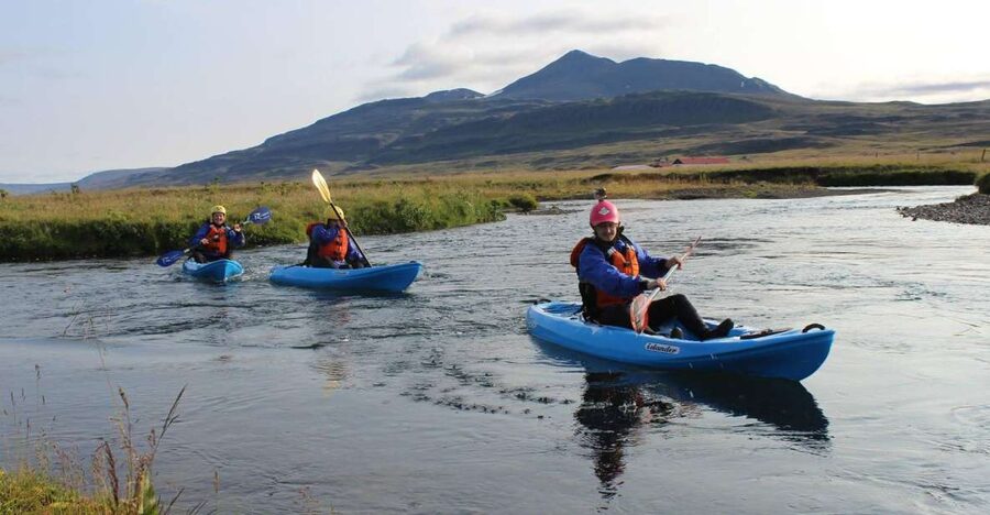 Icelandic Kayak Trip - Birdlife From Water Level