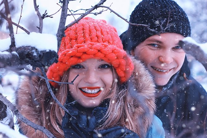 Icelandic Sagas and Glacier Cave Private Tour from Reykjavik - Who gets the best value from the $1,177.53 price
