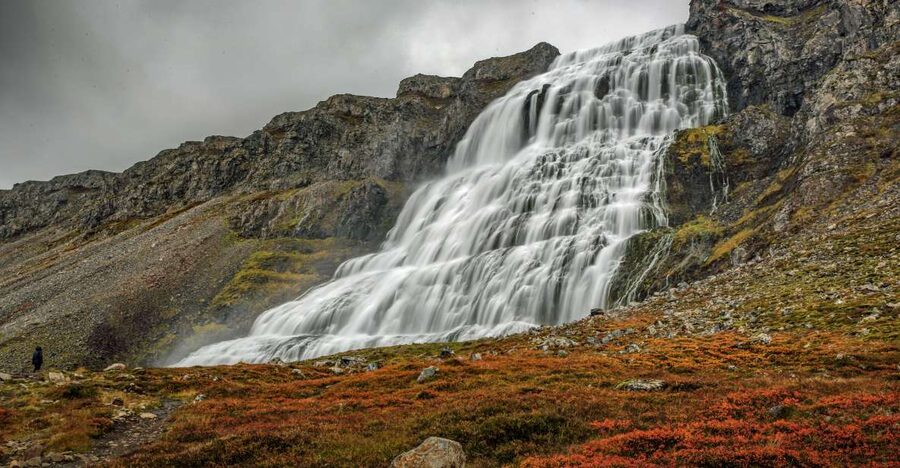Isafjordur: Dynjandi Waterfall Tour and Icelandic Farm Visit - Why this Ísafjörður tour is worth your time