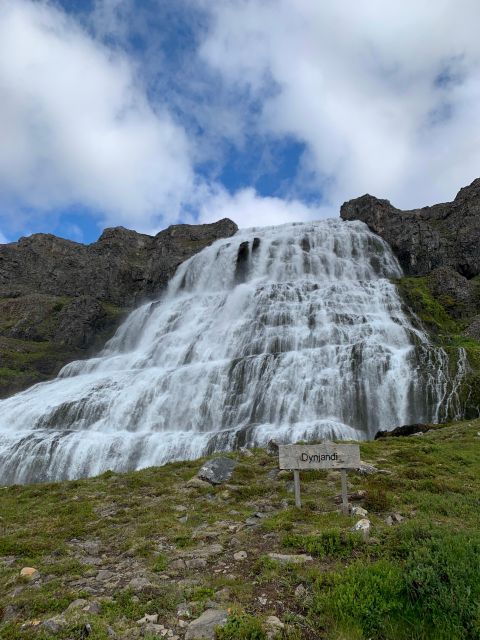 Isafjordur: Dynjandi Waterfall Tour and Icelandic Farm Visit - How much value do you get for $154?