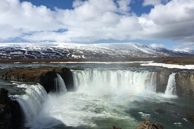 Lake Myvatn, Dettifoss and Goddafoss Waterfalls Day Tour from Akureyri - Timing, food, and the real pace of the tour