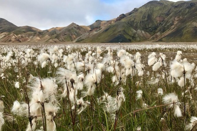 Landmannalaugar by Super Jeep - Hekla and the Approach to Fjallabak