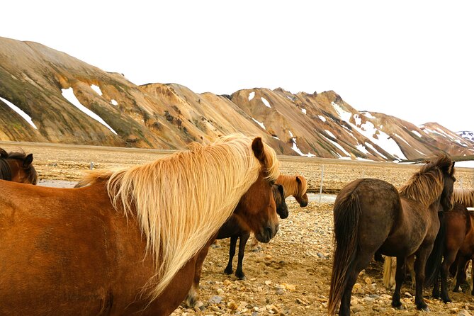 Landmannalaugar Hiking, Haifoss Waterfall and Hot Springs Tour - Why Landmannalaugar is worth the long day