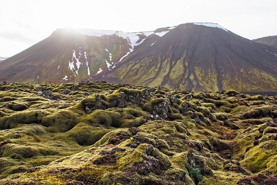 Leidarendi Cave: Lava Tunnel Caving from Reykjavik - Who should book this cave tour?