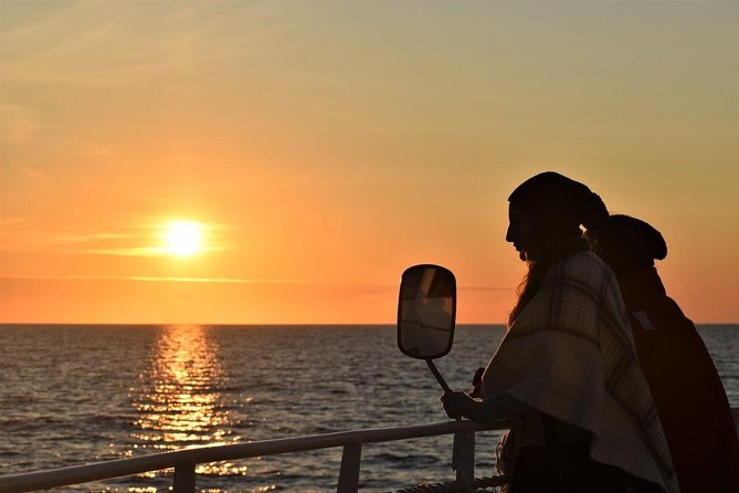Magical Whales in the Midnight Sun | from Reykjavik - Key points at a glance
