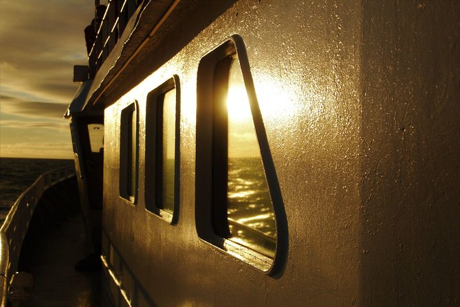 Magical Whales in the Midnight Sun | from Reykjavik - The midnight sun is half the attraction