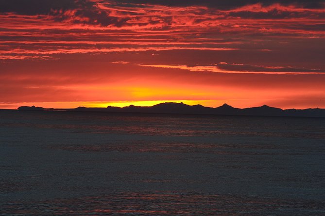 Magical Whales in the Midnight Sun | from Reykjavik - A boat designed for real Icelandic weather