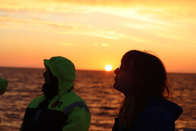Midnight Sun Whale Watching from Reykjavik - Leaving Reykjavik’s Old Harbour at 9:00 pm