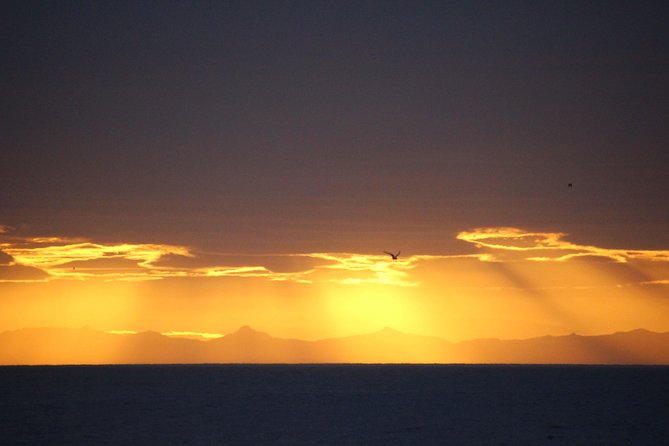 Midnight Sun Whale Watching from Reykjavik - Guide Daniel, Sophie, and Tom add personality