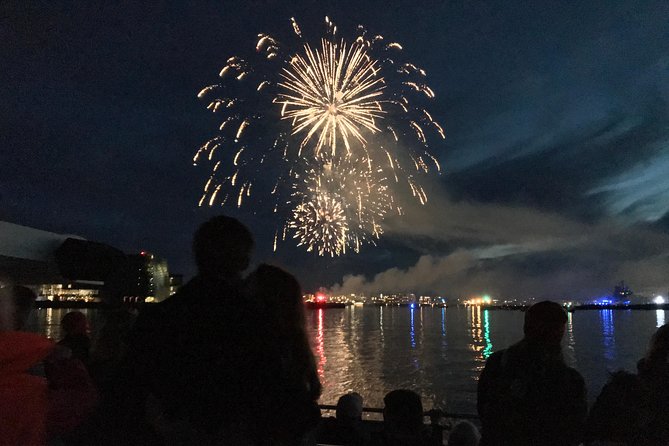 New Year's Eve Fireworks Cruise in Reykjavik - Is $183.84 a fair price?