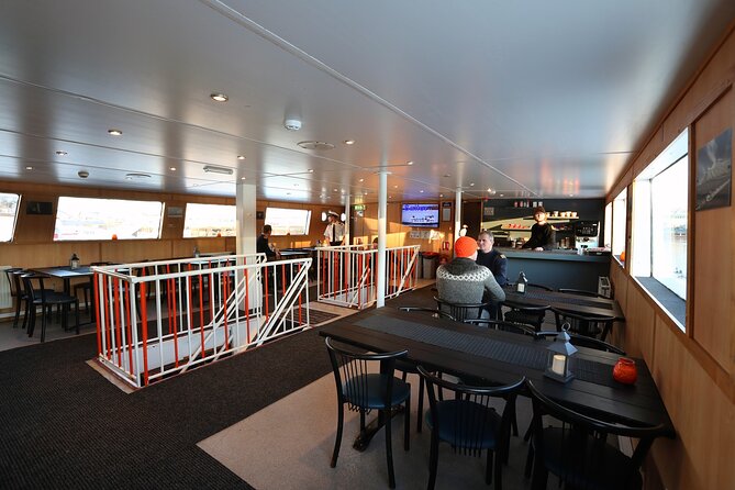 New Years Fireworks by Boat from Reykjavik - Northern lights are a lucky extra