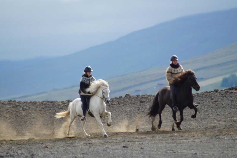 North Iceland: Horseback Riding Tour - Why this North Iceland ride is different