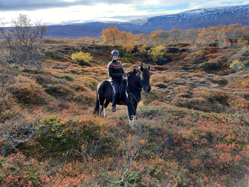 North Iceland: Horseback Riding Tour - Volcanic rocks, moss, and Icelandic footing