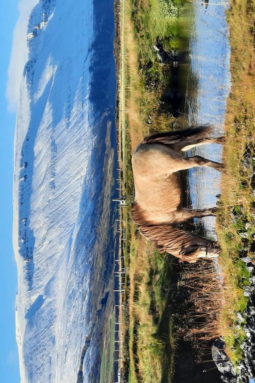 North Iceland: Horseback Riding Tour - Crossing the black sand plain