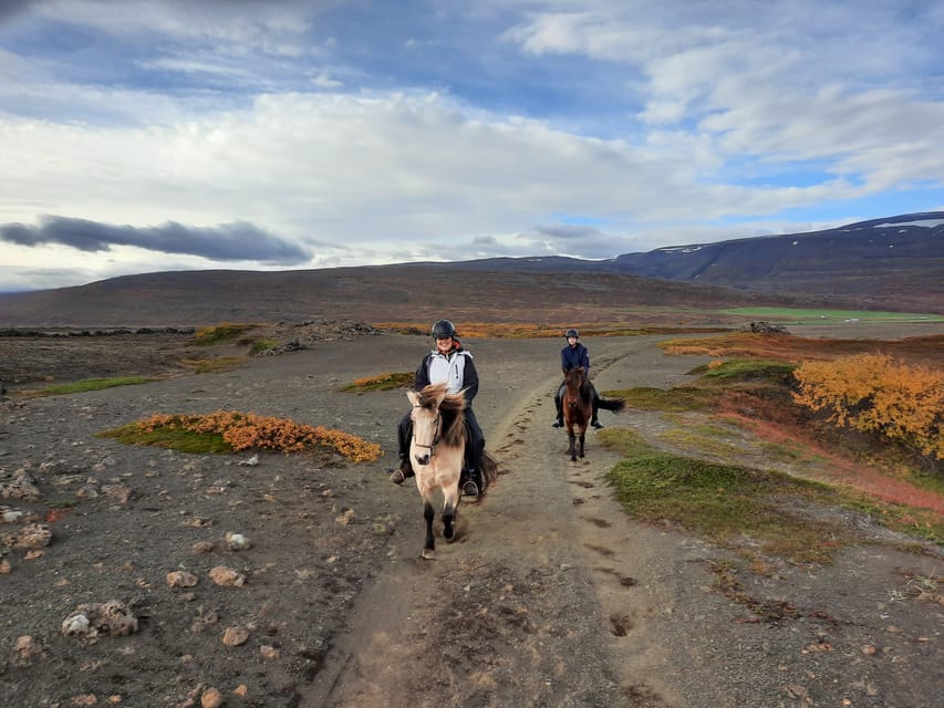 North Iceland: Horseback Riding Tour - Returning through the natural birch forest