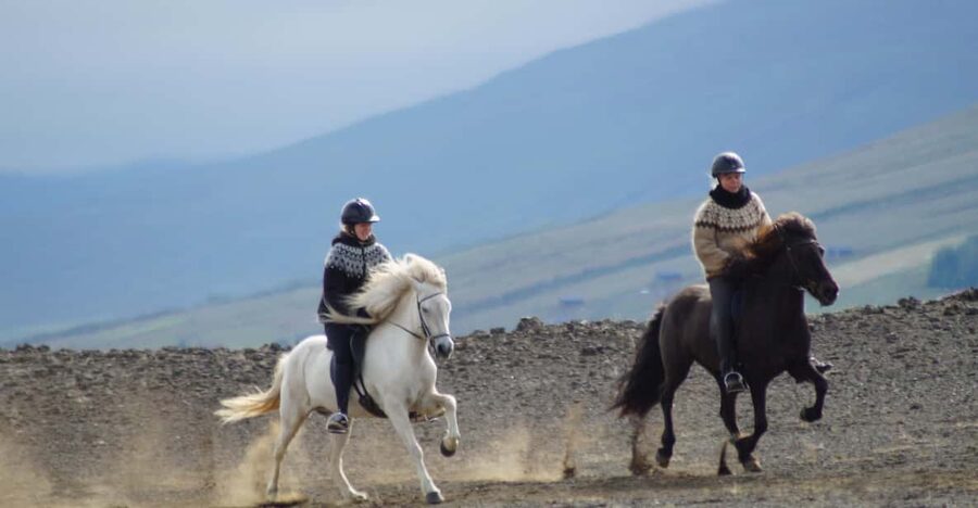 North Iceland: Horseback Riding Tour - Starting at the farm with a calm introduction