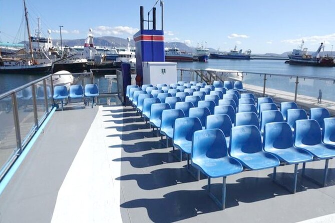 Northern Lights Boat Cruise from Reykjavik - Waiting for the northern lights at sea