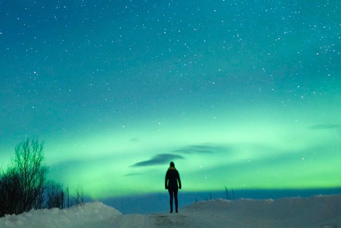Northern Lights Bus Tour from Reykjavik with Hot Chocolate - Pickup, timing, and the practical details