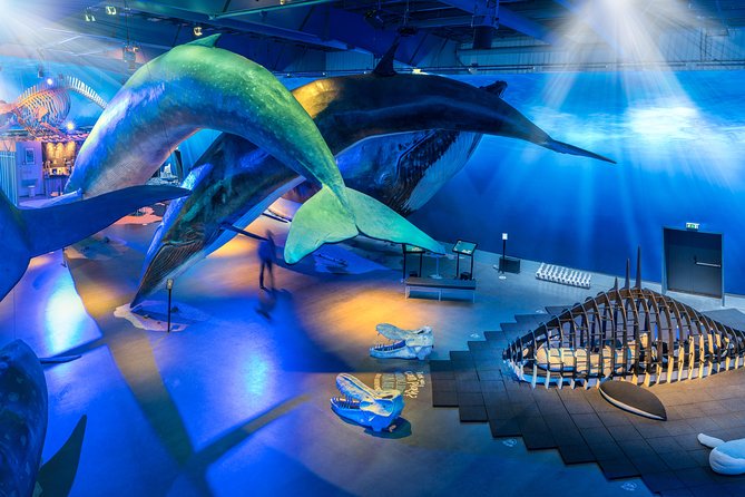 Northern Lights by Boat with a Backup Plan from Reykjavik - The backup plan at Whales of Iceland