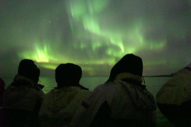 Northern Lights by Boat with a Backup Plan from Reykjavik - What the $83.88 price really buys