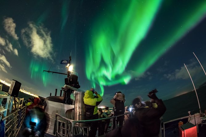 Northern Lights by Boat with a Backup Plan from Reykjavik - Who should book this Reykjavik aurora cruise?
