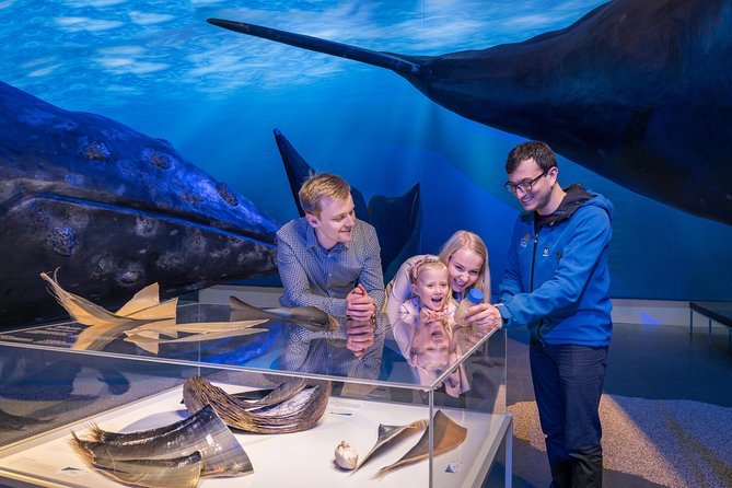 Northern Lights by Boat with a Backup Plan from Reykjavik - Booking, cancellations, and small practical details