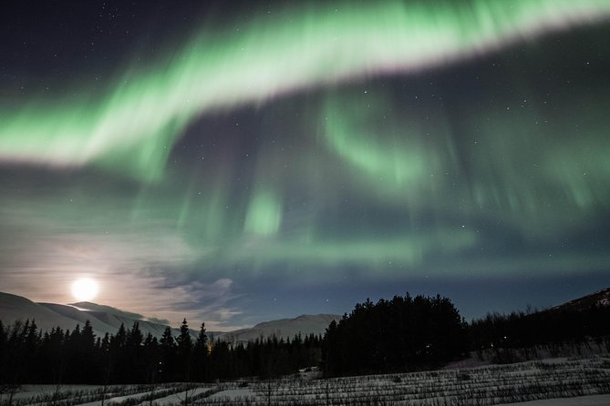 Northern Lights Classic MiniBus Tour from Akureyri - What the Akureyri aurora hunt is really like
