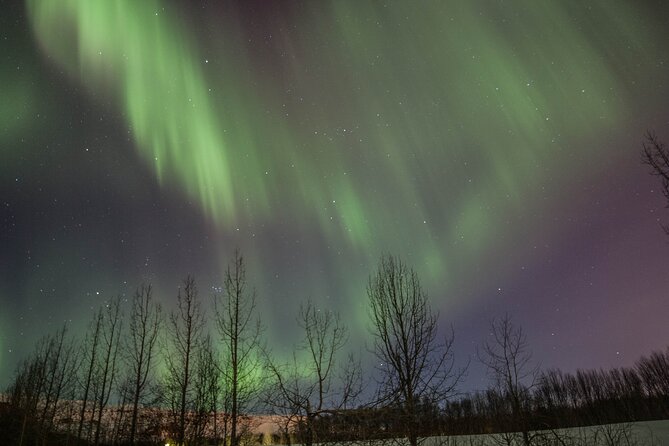 Northern Lights Classic MiniBus Tour from Akureyri - Northern Lights photography without a professional photographer
