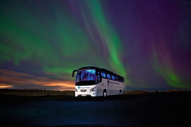 Northern Lights Guided Bus Tour from Reykjavik - What a typical three to five hours feels like