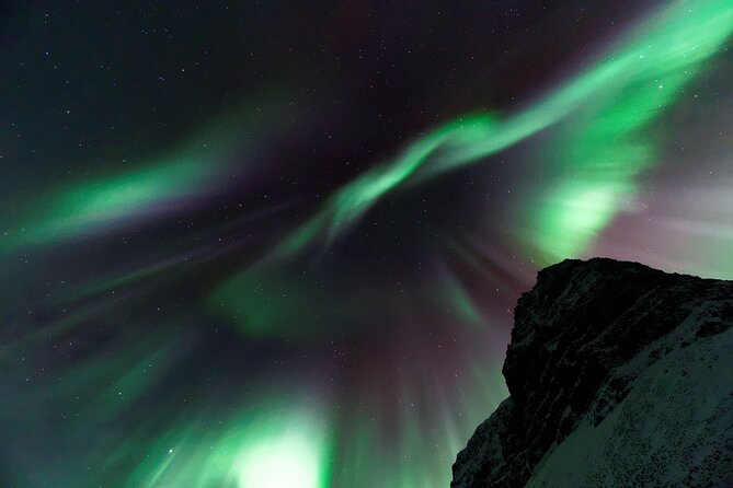 Northern Lights Private Tour from Reykjavik - Starting in Reykjavik at 8:00 p.m.