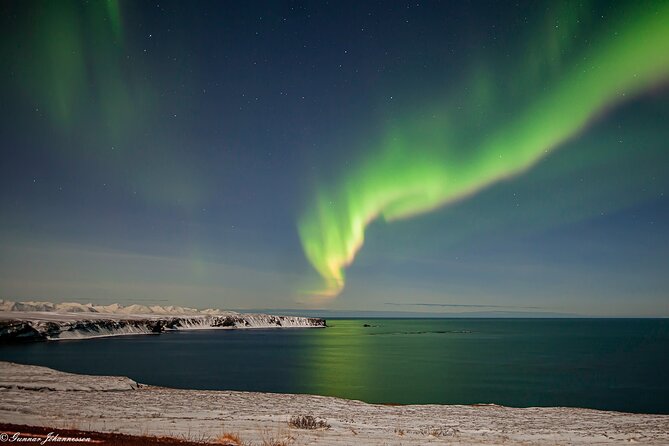 Northern Lights Tour from Husavik - Price, timing, and what the fee buys