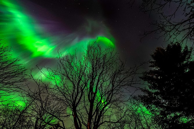 Northern Lights Tour from Reykjavik with Lifetime Guarantee - Why a bus tour makes sense in Reykjavik