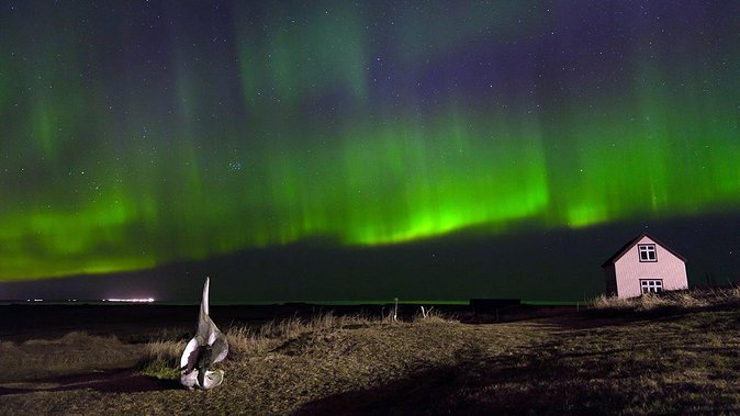 Northern Lights Tour from Reykjavik with Lifetime Guarantee - The ride into the winter darkness
