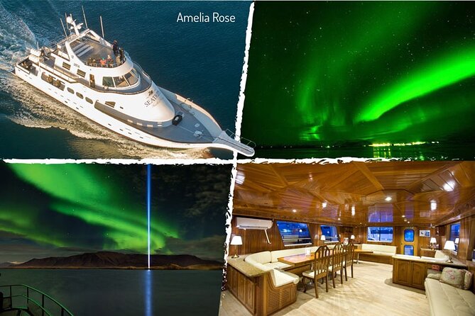 Northern Lights Yacht Cruise in Reykjavik - The Yacht’s Best Features