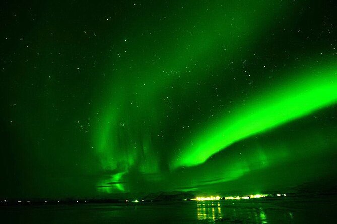 Northern Lights Yacht Cruise in Reykjavik - Wildlife Along Reykjavik’s Coast