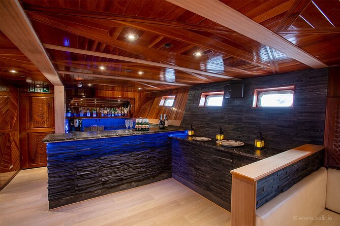Northern Lights Yacht Cruise in Reykjavik - Is $94 a Fair Price?