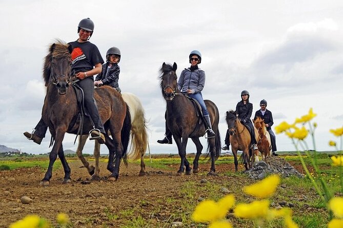 One-Hour Horseback Riding Tour in the Icelandic Countryside - Key Points at a Glance