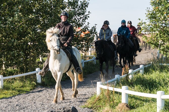One-Hour Horseback Riding Tour in the Icelandic Countryside - What This One-Hour Ride Really Offers
