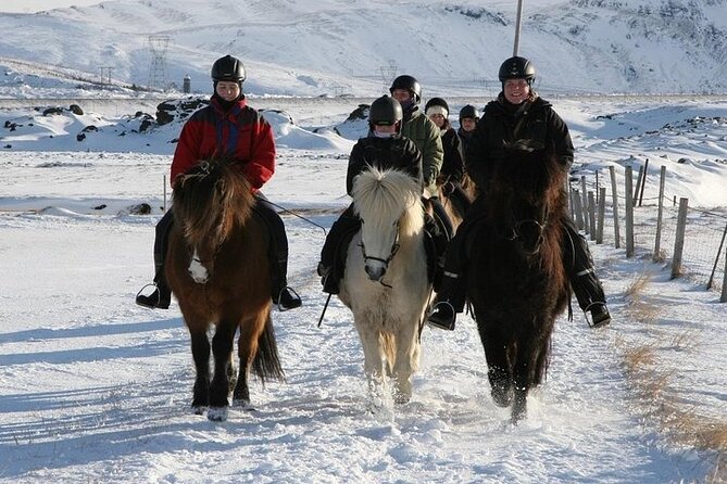 One-Hour Horseback Riding Tour in the Icelandic Countryside - Weather, Timing, and the Practical Details