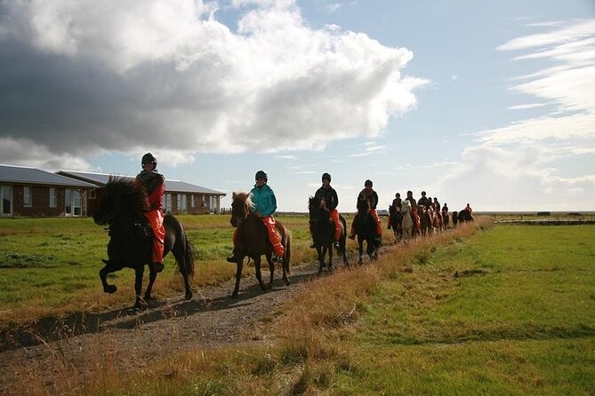 One-Hour Horseback Riding Tour in the Icelandic Countryside - How This Ride Fits Into a South Iceland Day
