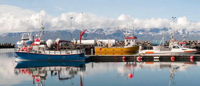Original Big Whale Safari & Puffins Speedboat Tour from Húsavík - Key points at a glance