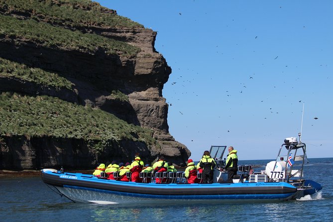 Original Big Whale Safari & Puffins Speedboat Tour from Húsavík - Is $180.27 fair for two hours?
