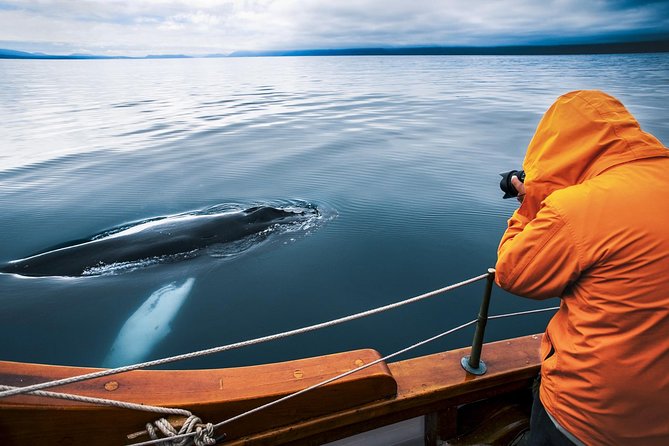 Original Carbon Neutral Whale Watching Tour from Húsavík - Key points to know before you book