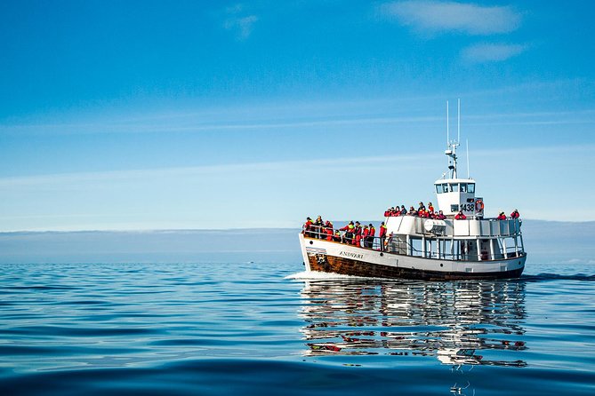 Original Carbon Neutral Whale Watching Tour from Húsavík - The wildlife experience is the main value