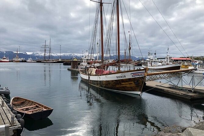 Premium 4x4 Diamond Circle Tour - Hljóðaklettar shows off Iceland’s basalt geometry