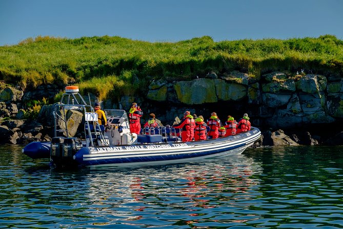 Premium Small-Group Puffin & Bird Watching tour from Reykjavík - What you can realistically see
