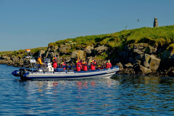 Premium Small-Group Puffin & Bird Watching tour from Reykjavík - Small group, big advantage