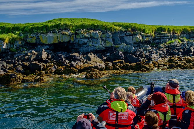 Premium Small-Group Puffin & Bird Watching tour from Reykjavík - Weather, cancellations, and planning